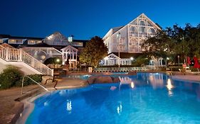 Disney Beach Club Resort Pool 4*